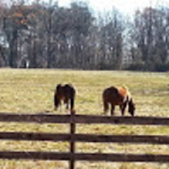 Meet your Posher, J - Picture 1 of 1